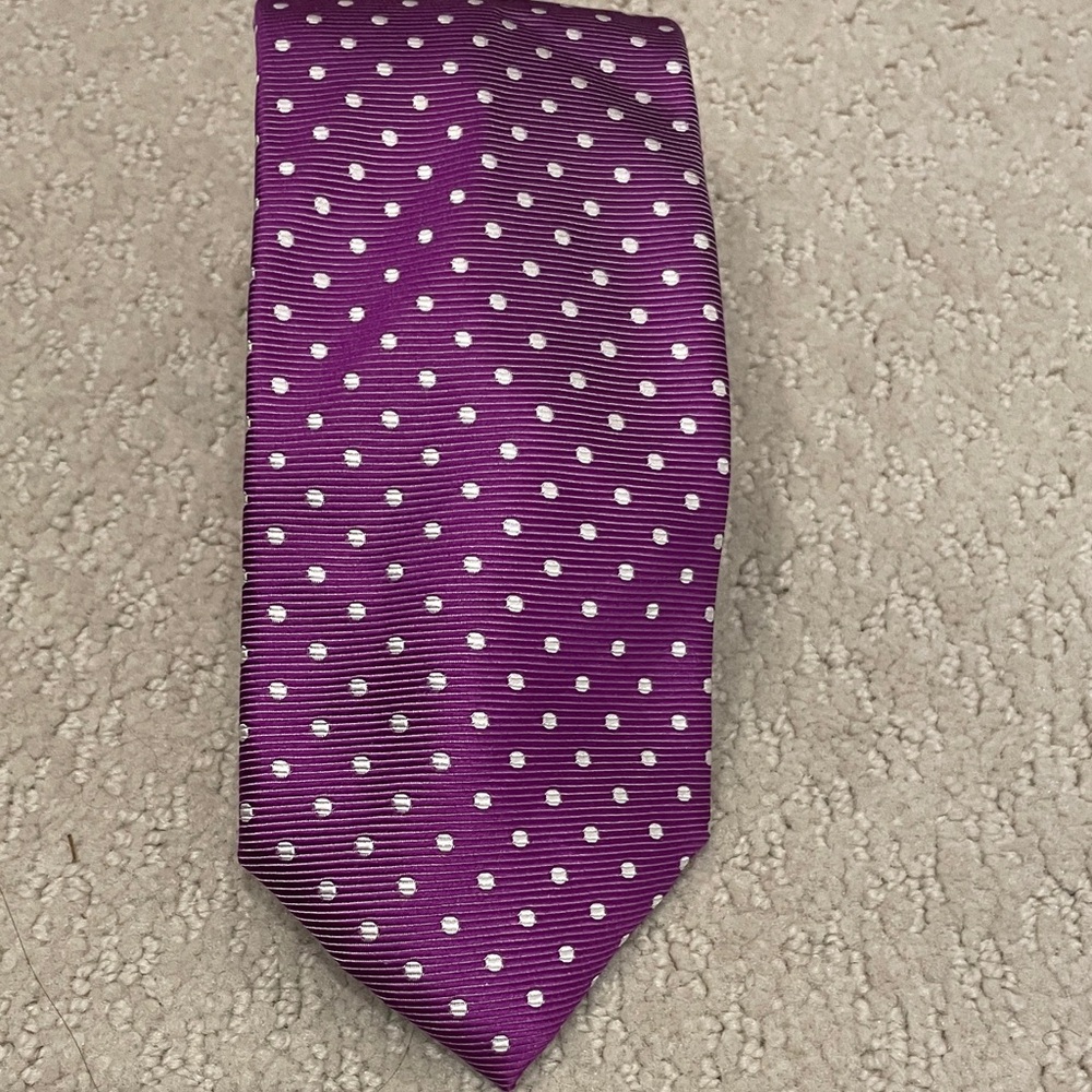 Astor & Black Elegant Purple and White Polka Dot Men's Tie CB